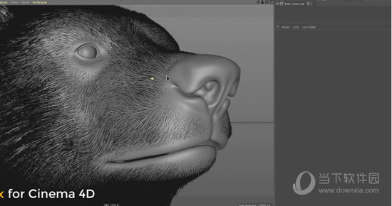 Ornatrix C4D版