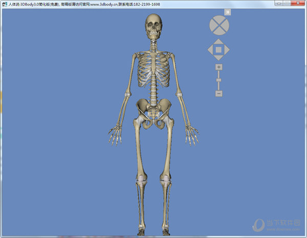 3DBody