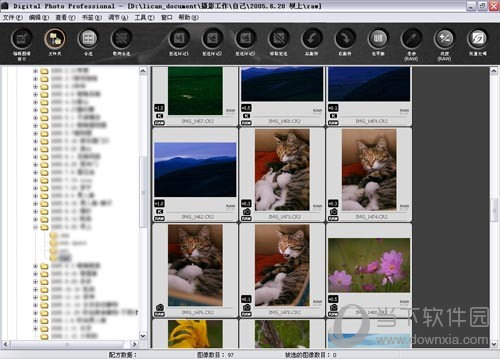 DPP3.9中文版