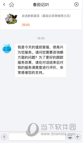 输入文字即可进行咨询
