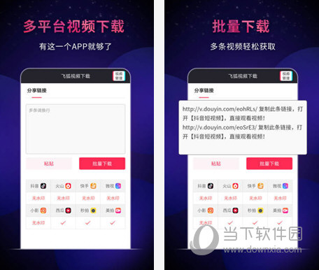 飞狐视频下载器电脑版