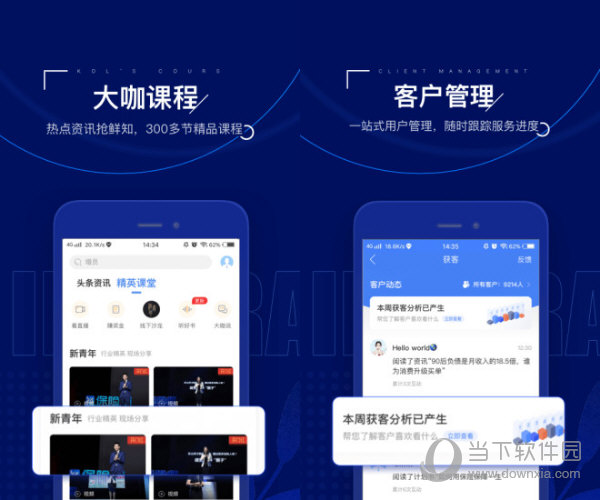 保险师电脑版