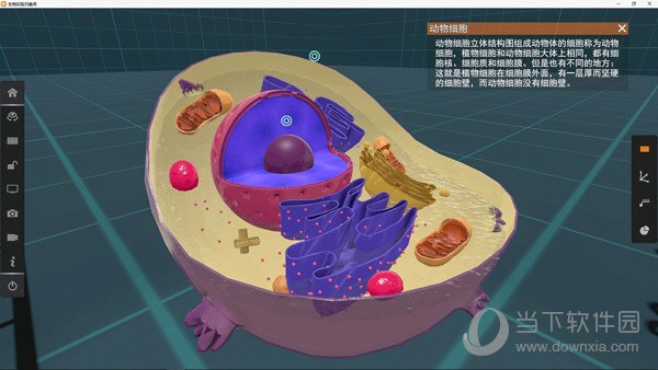 矩道高中生物3D实验室