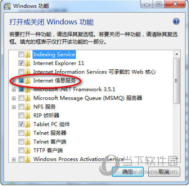 选中“Internet信息服务”