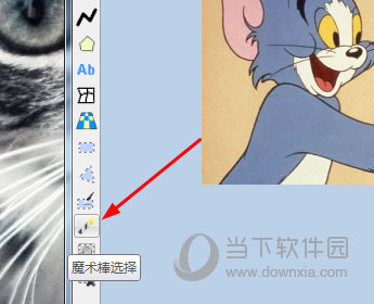 知识兔点击魔术棒工具