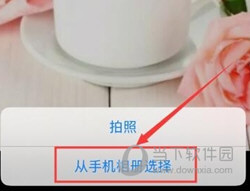 映客直播APP官方下载
