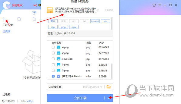 迅雷双通道最高破解版