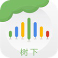 树下 V4.5.0 最新PC版 V4.5.0 最新PC版