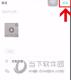 NOW直播APP官方下载