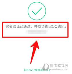 NOW直播APP官方下载