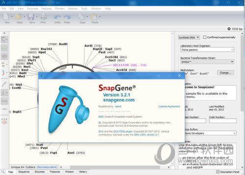 GSL Biotech SnapGene