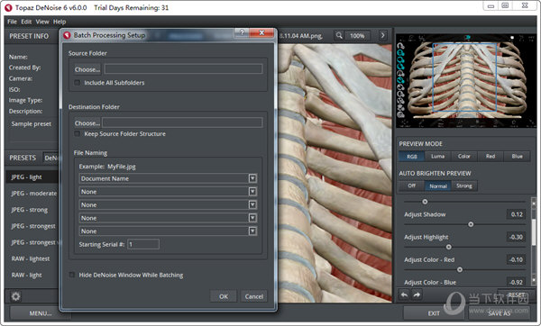 Topaz DeNoise AI 6汉化版