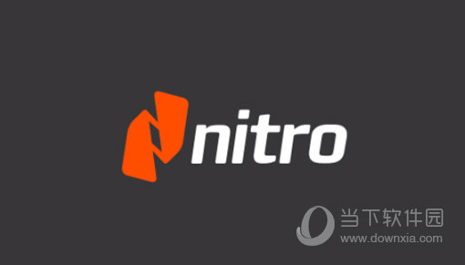 Nitro Pro 13