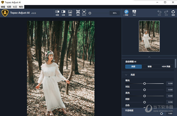 Topaz Adjust AI中文破解版最新版