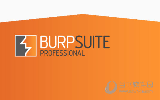 Burp Suite2020