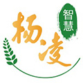 智慧杨凌APP V3.8.9 安卓最新版