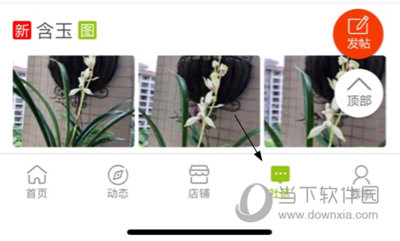 兰花交易网发自己的作品