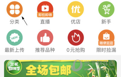 兰花交易网参加拍卖