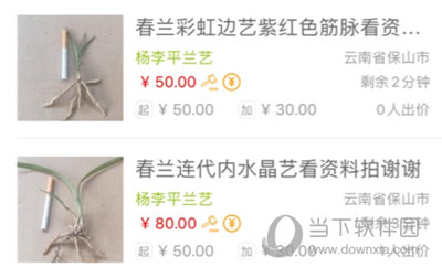 兰花交易网参加拍卖