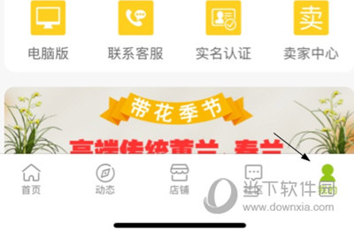兰花交易网改评价