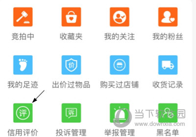 兰花交易网改评价
