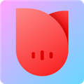 一花交友 V1.26.1 安卓版