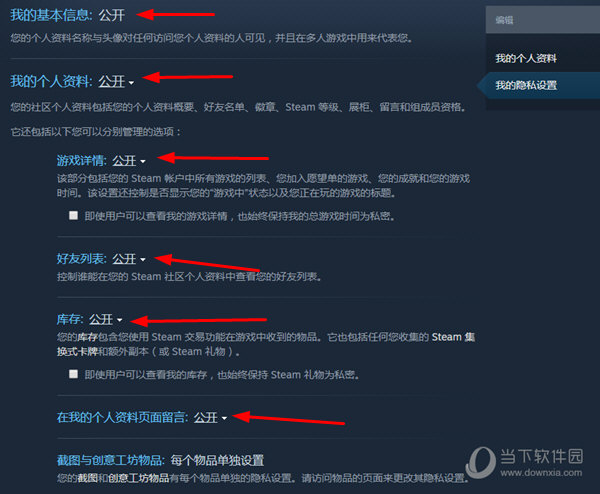 Steam账号公开设置