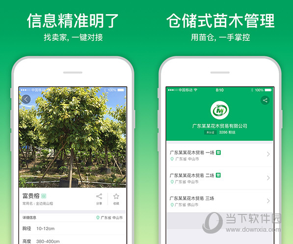 苗仓