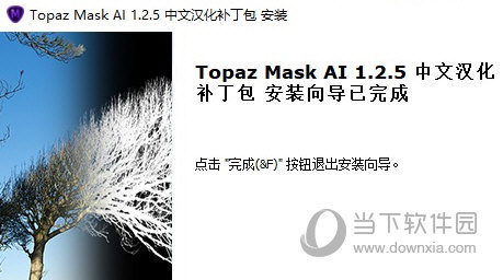 topaz mask ai汉化补丁