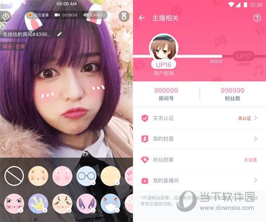 bilibili link