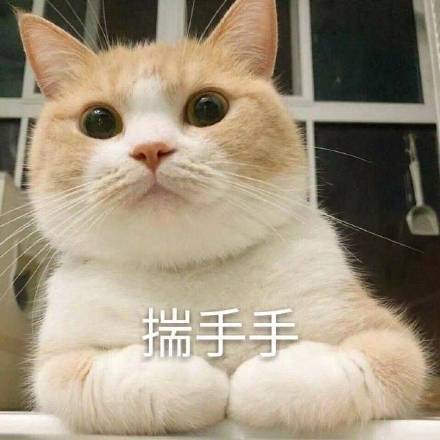 揣手手表情包  11 免费版