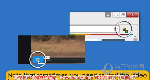 video downloadhelper中文版