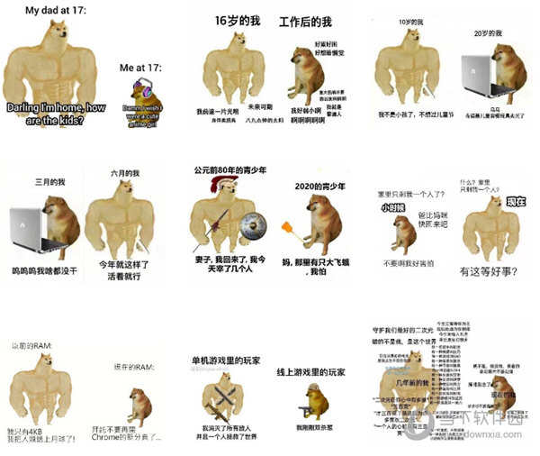 肌肉doge与小废狗表情包11免费版