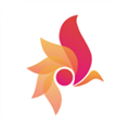 一等 V2.1.3 安卓版