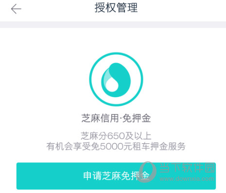 神州租车APP下载