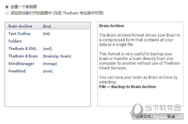 TheBrain12中文版