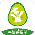 牛油果留学 V1.11.3 安卓版
