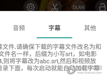 播放器设置字幕