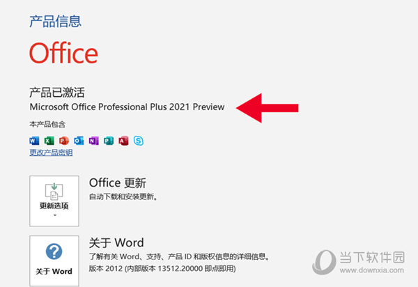 Office2021专业增强预览版离线安装包