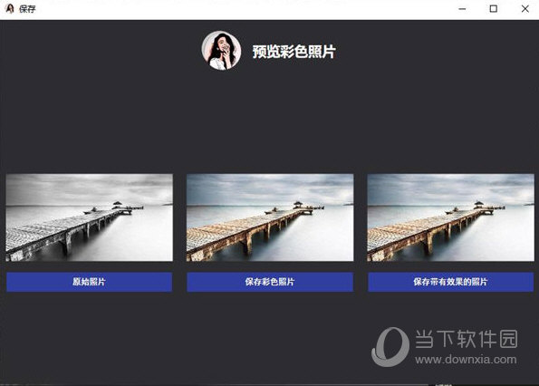 picture colorizer pro 2.3.0 for win专业版