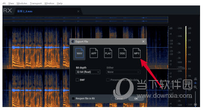 iZotope RX7 audio免费下载