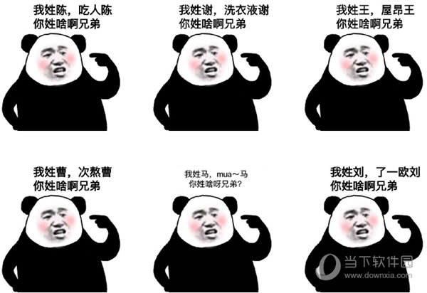 你姓啥啊兄弟表情包  9 熊猫头版