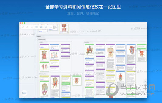 marginnote3电脑版