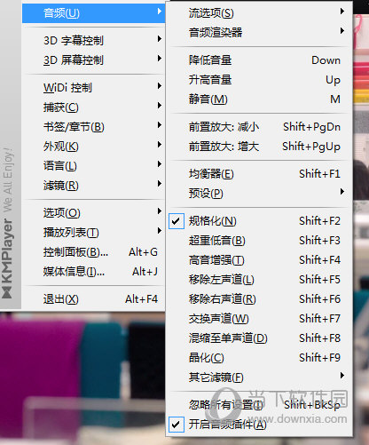 Kmplayer Plus音频选项