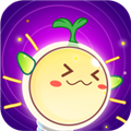 金桔思维 V1.0.8 安卓版
