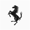 MyFerrari V1.9.0 安卓版