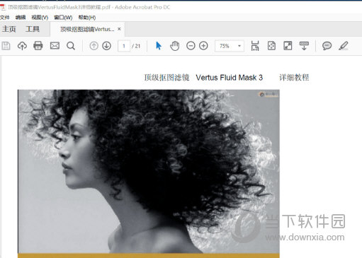 Vertus Fluid Mask3.3.17中文汉化版