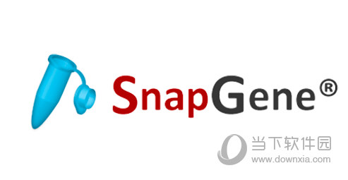 SnapGene破解版Win10