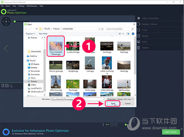 ashampoo photo optimizer 7破解版