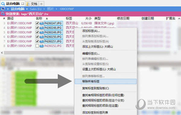 XYplorer文件标签